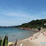 Laurent-bord De *