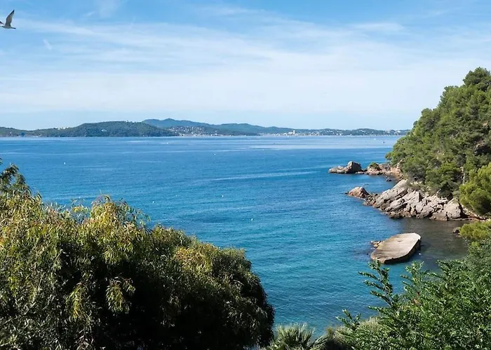 Laurent-bord De Le Pradet